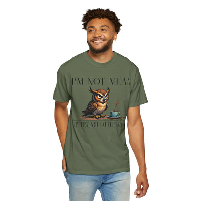 I'm Not Mean Owl T-Shirt — Funny Coffee Owl Tee for Coffee Lovers