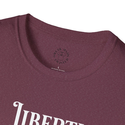 Patriotic Skull T-Shirt | Unisex Independence Day Tee