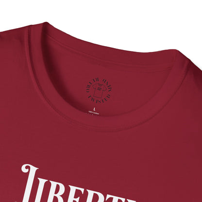 Patriotic Skull T-Shirt | Unisex Independence Day Tee