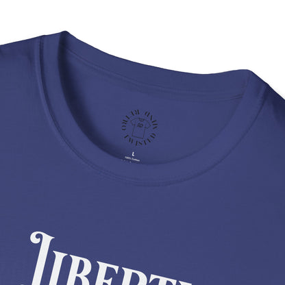 Patriotic Skull T-Shirt | Unisex Independence Day Tee